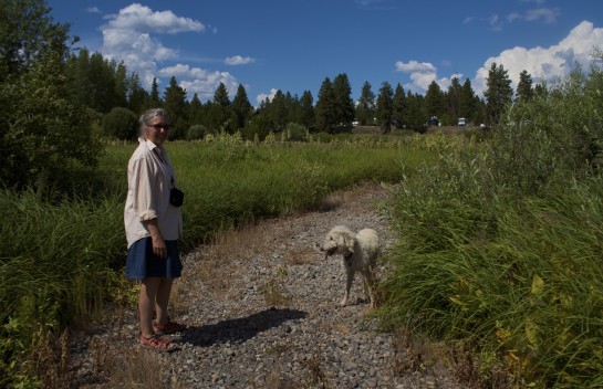 McCall Idaho, Idaho hiking, summer in McCall Idaho