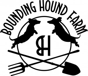 BoundingHound_logo