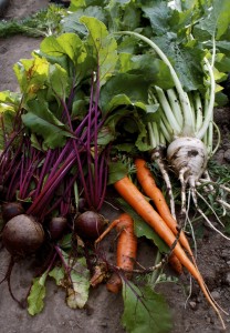 root-veggies