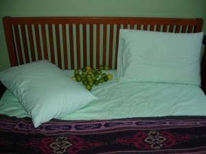 limes-in-bed