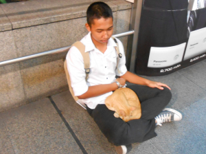 Janet-Brown-boy-with-cat-Bangkok